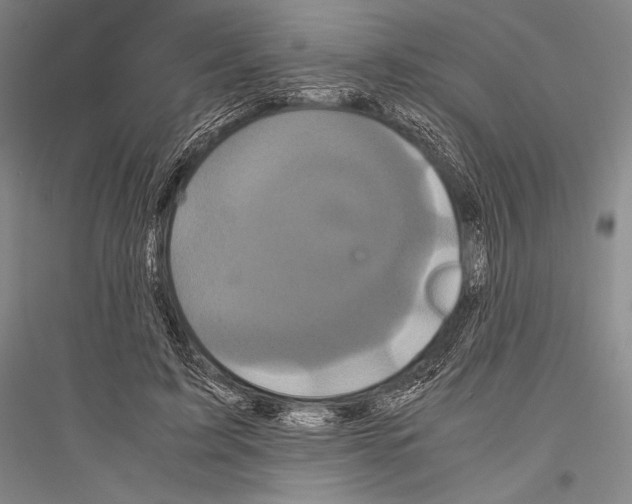 X0000116800595201001291542