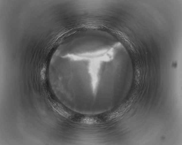 X0000116800596201001291542