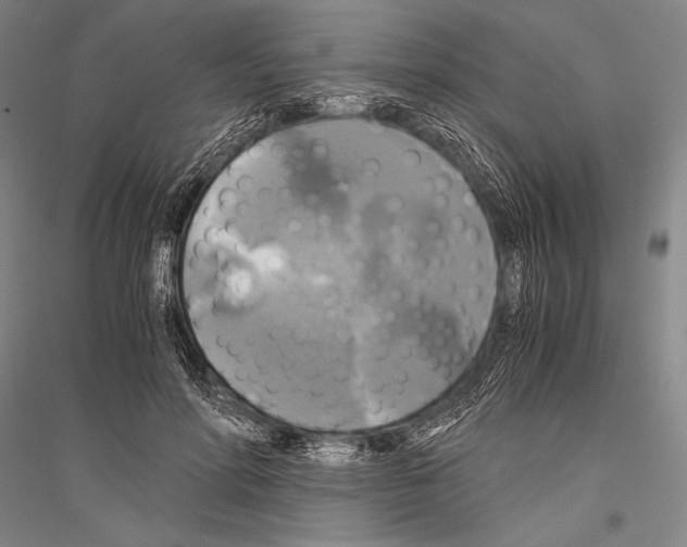 X0000116800598201001291542