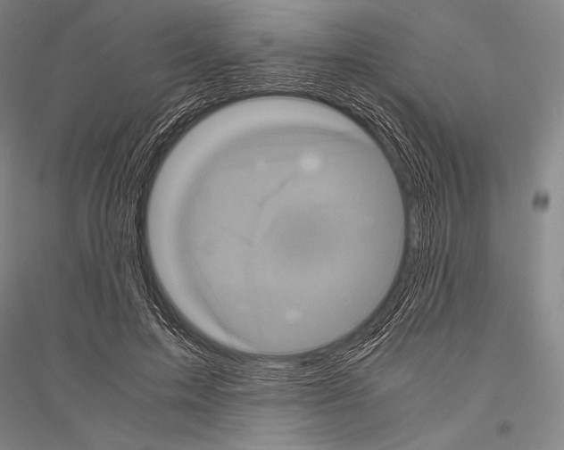 X0000116800599201001291542