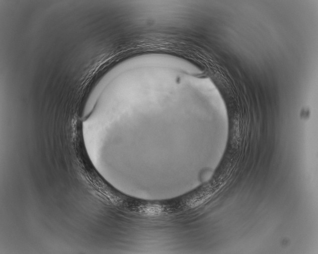 X0000116800600201001291542