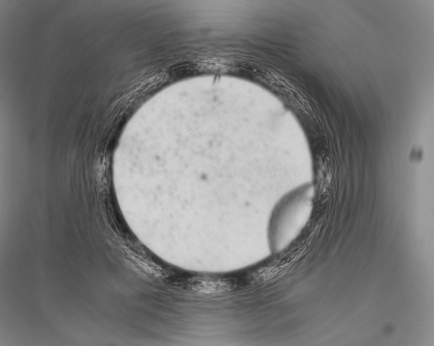 X0000116800601201001291542