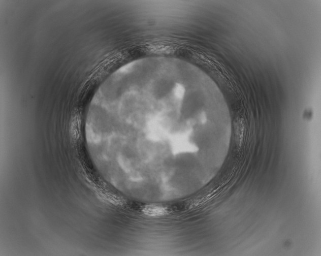 X0000116800602201001291542