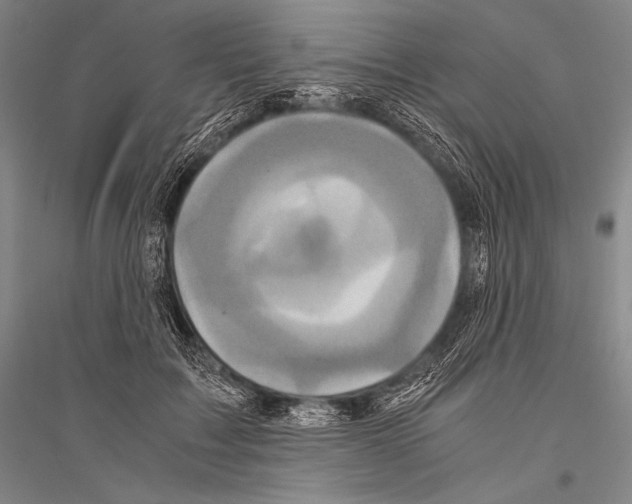 X0000116800603201001291542