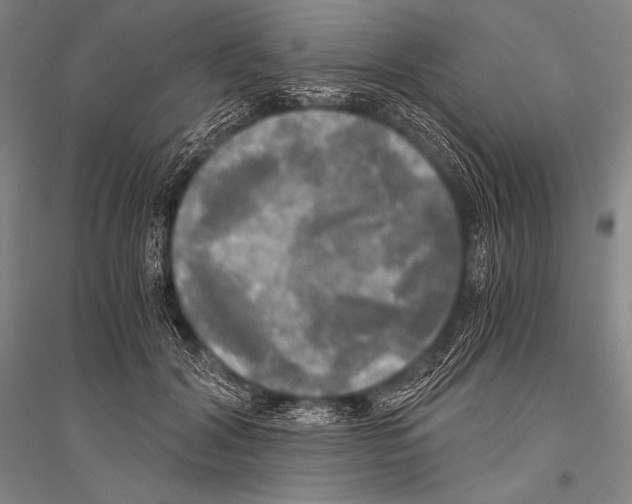 X0000116800604201001291542