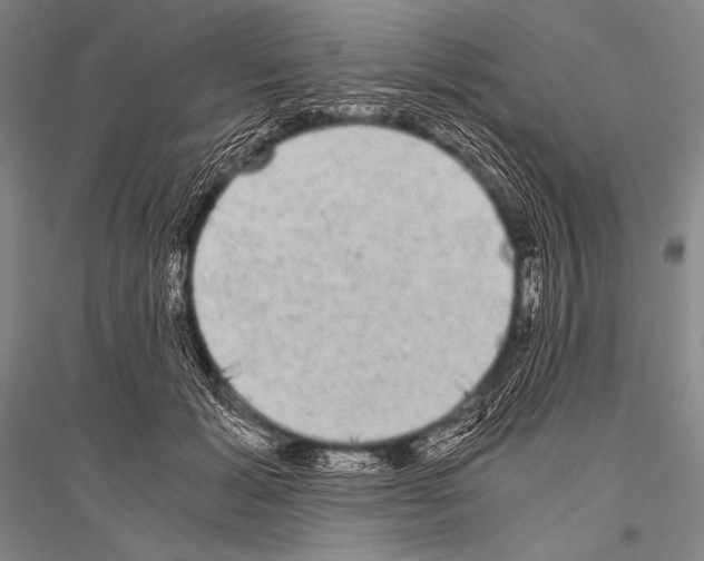 X0000116800605201001291542
