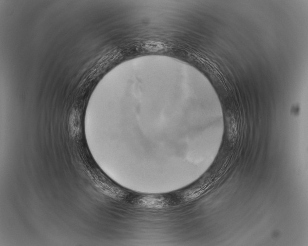X0000116800606201001291542