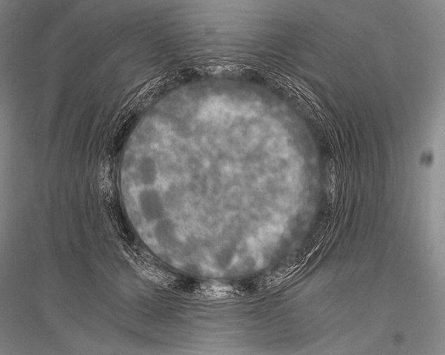 X0000116800607201001291542
