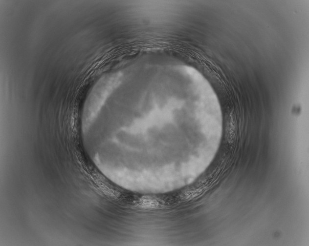X0000116800608201001291542