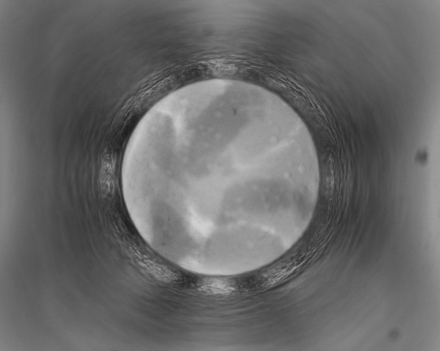 X0000116800610201001291542