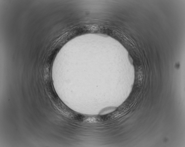 X0000116800611201001291542
