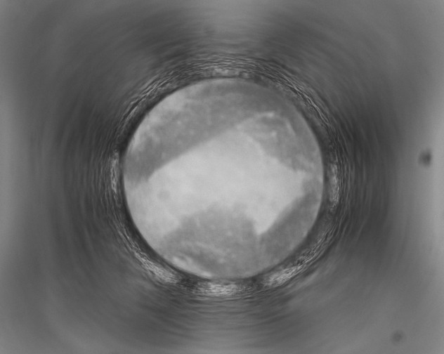 X0000116800612201001291542