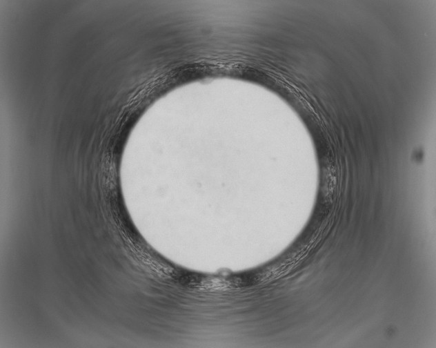 X0000116800613201001291542