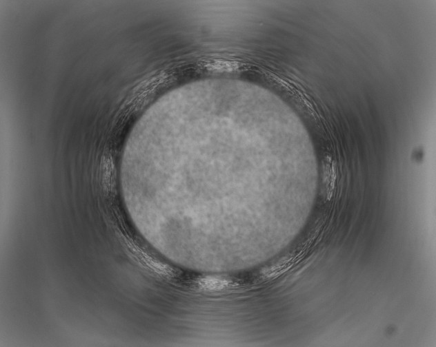 X0000116800614201001291542