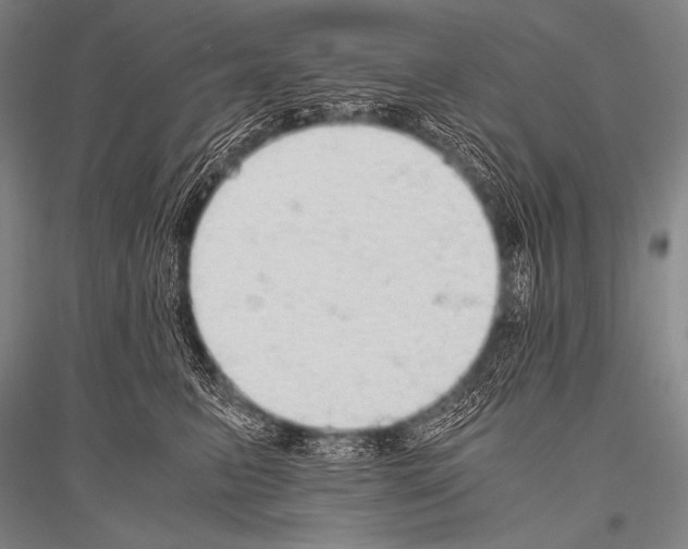 X0000116800615201001291542