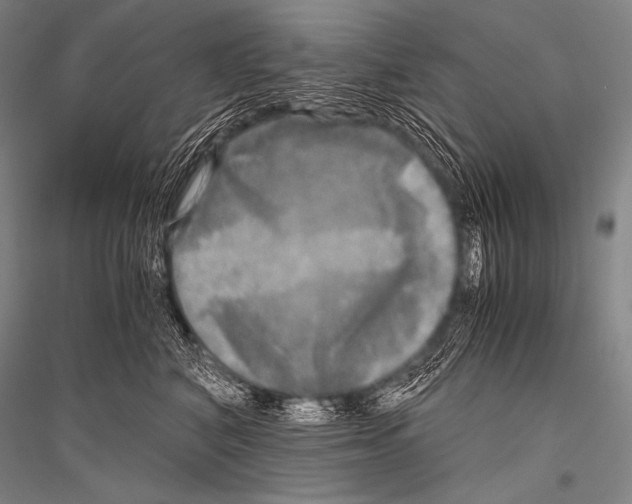 X0000116800616201001291542