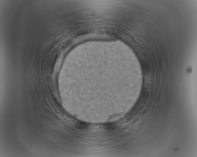 X0000116800617201001291542