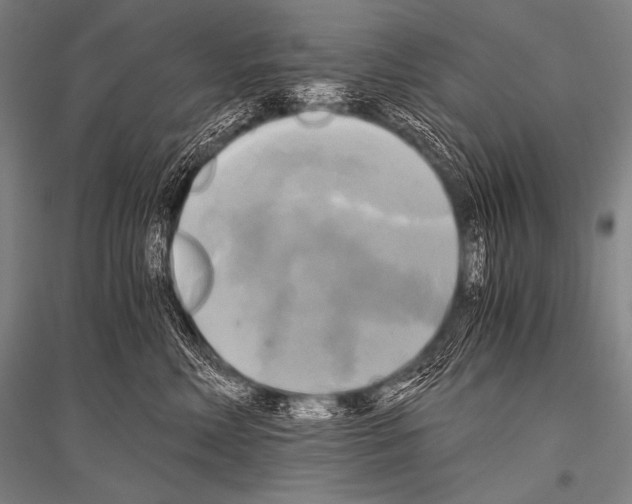 X0000116800618201001291541