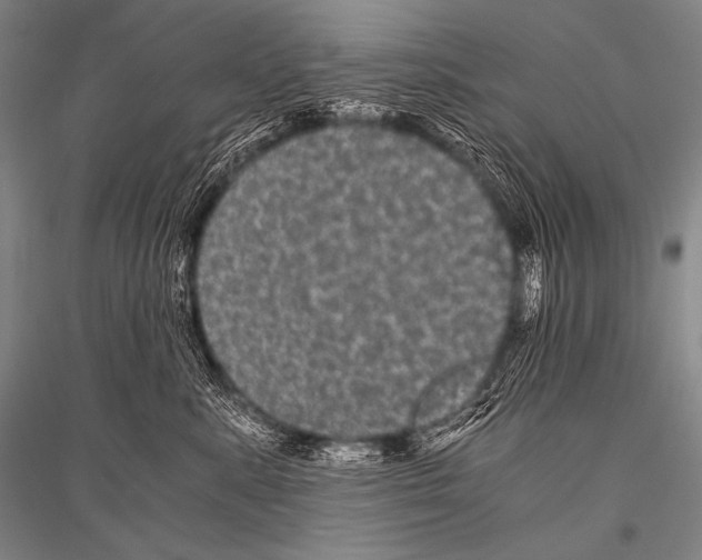 X0000116800619201001291541