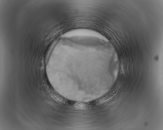 X0000116800620201001291541