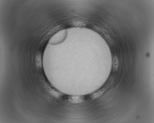 X0000116800622201001291541