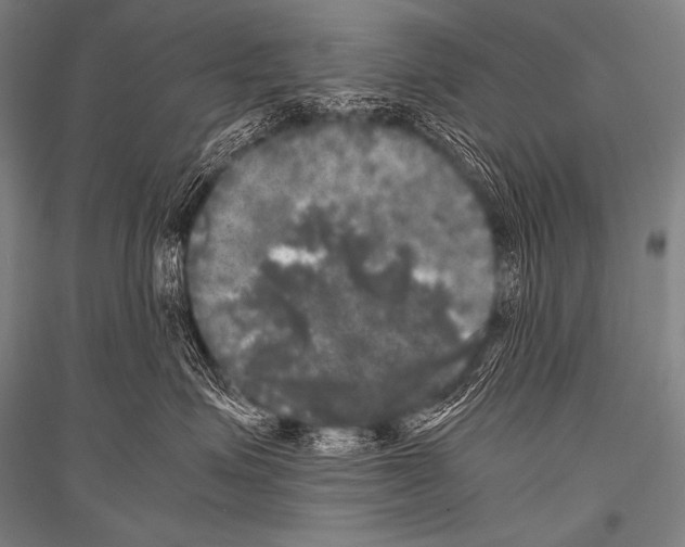 X0000116800623201001291541