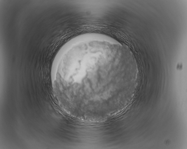 X0000116800624201001291541