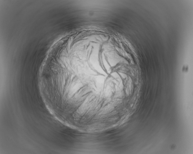 X0000116800625201001291541