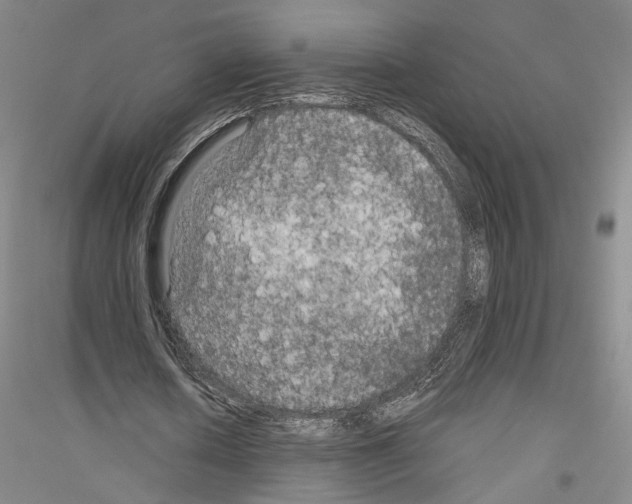 X0000116800626201001291541