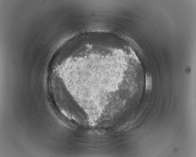 X0000116800627201001291541