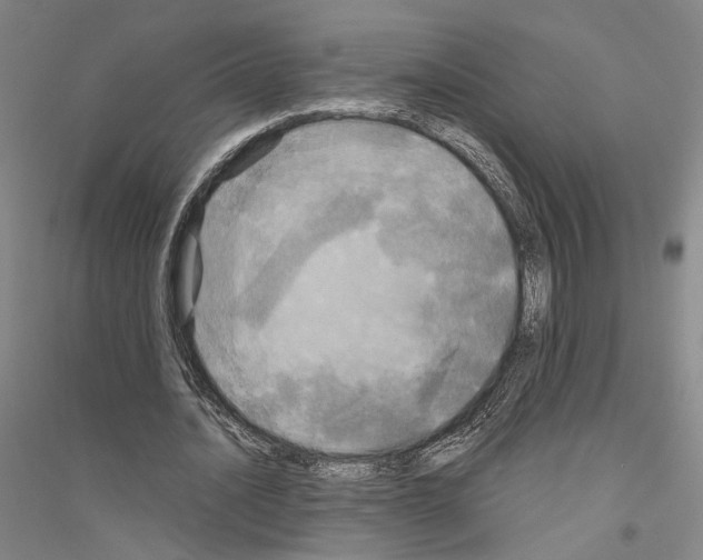 X0000116800628201001291541