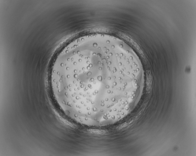 X0000116800629201001291541