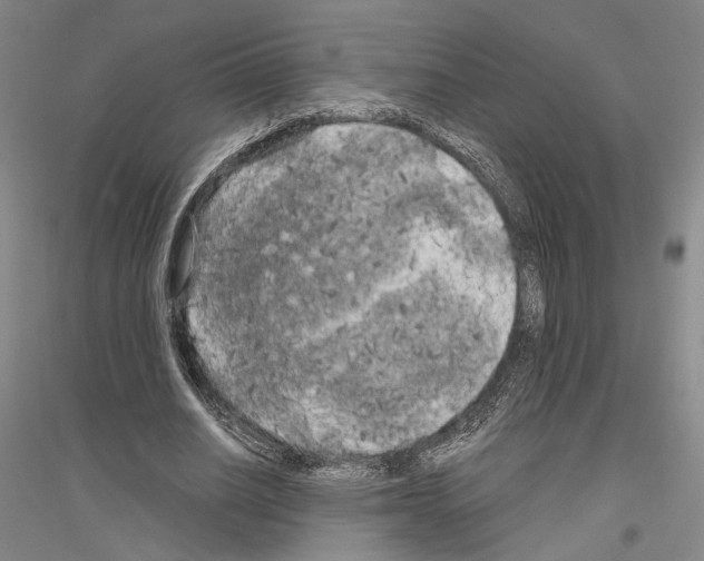 X0000116800630201001291541