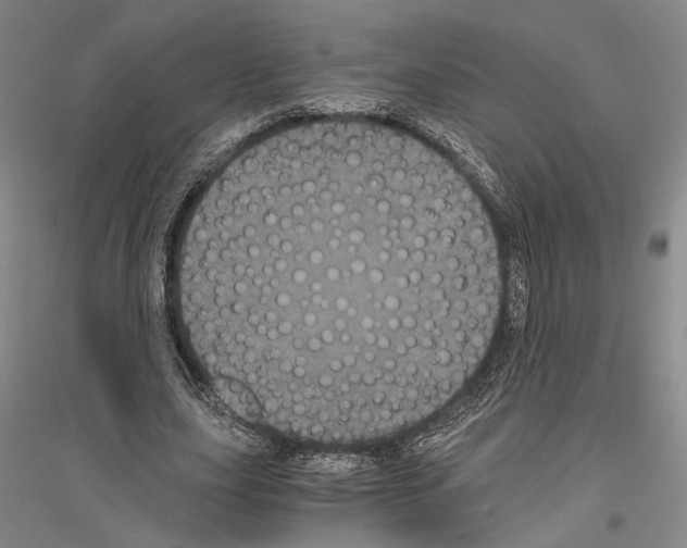 X0000116800631201001291541