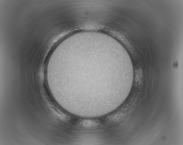 X0000116800632201001291541