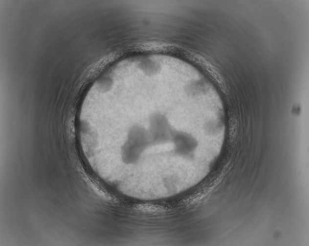 X0000116800633201001291541