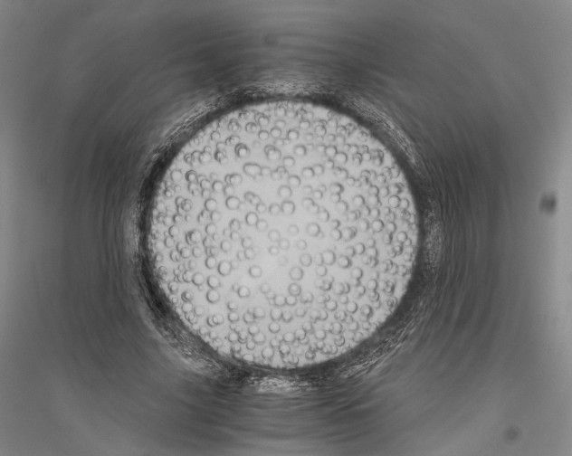 X0000116800635201001291541