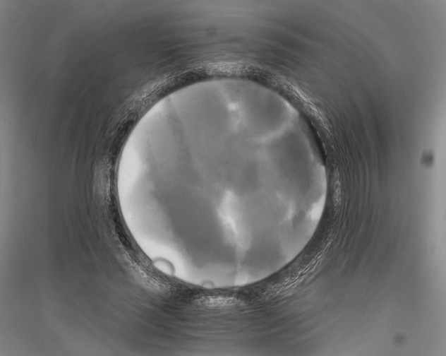 X0000116800637201001291541