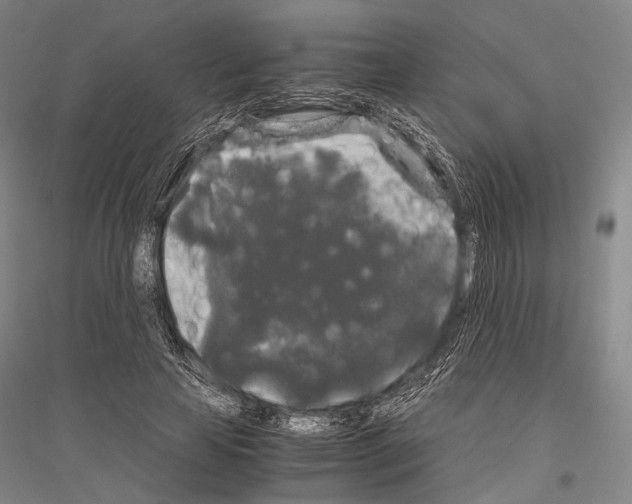 X0000116800641201001291541