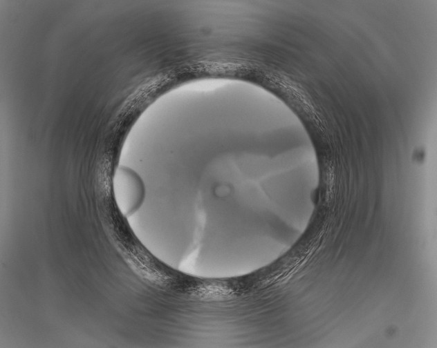 X0000116800644201001291541