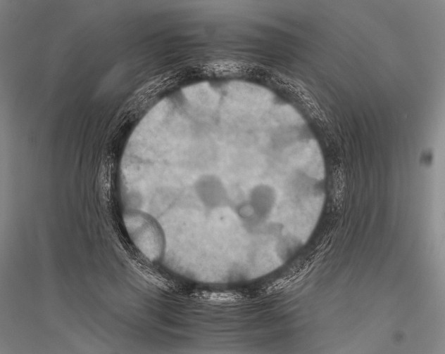 X0000116800645201001291541