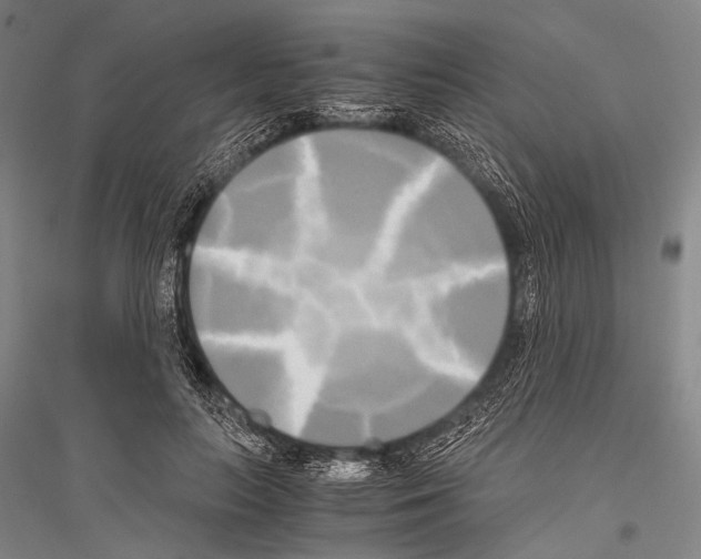 X0000116800647201001291541
