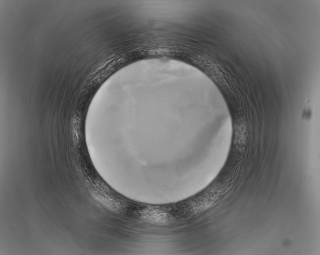 X0000116800648201001291541