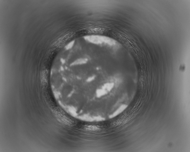 X0000116800649201001291541