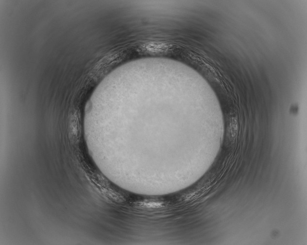 X0000116800651201001291541