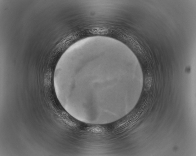 X0000116800652201001291541