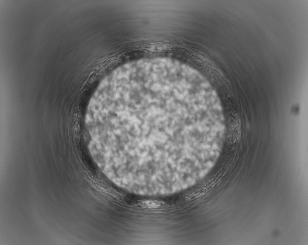 X0000116800654201001291541