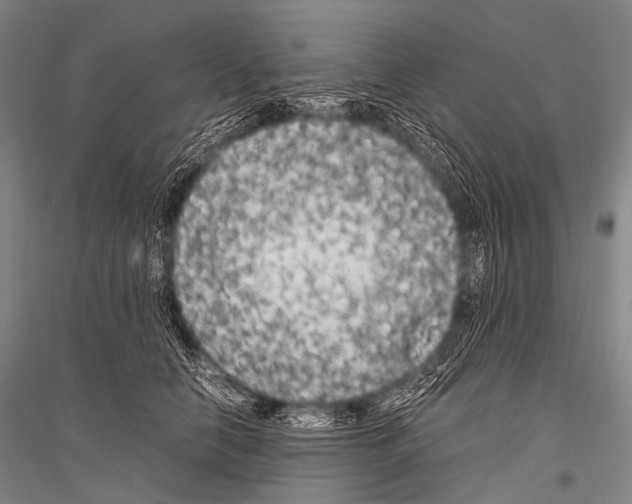 X0000116800658201001291541