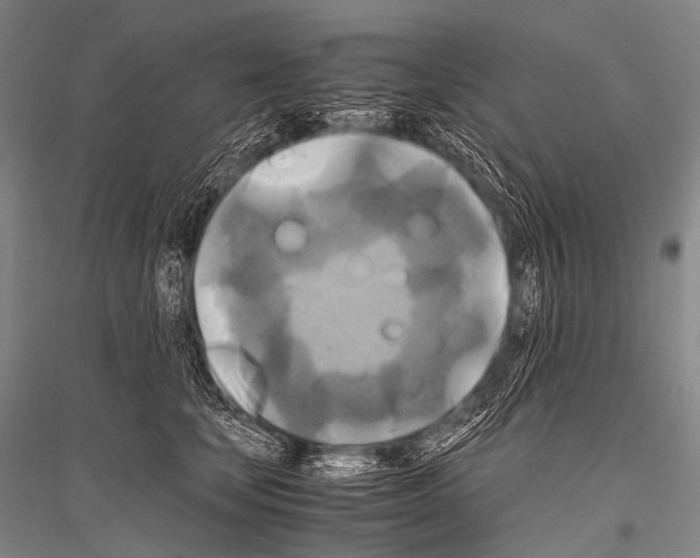 X0000116800659201001291541