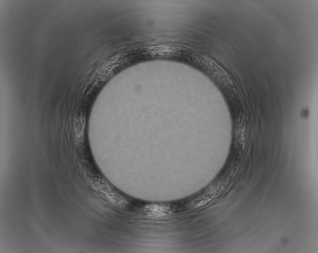 X0000116800660201001291541